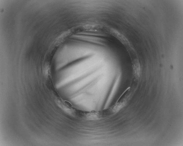 X0000080180574200612221319