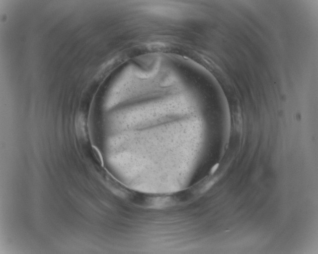 X0000080180575200612221319