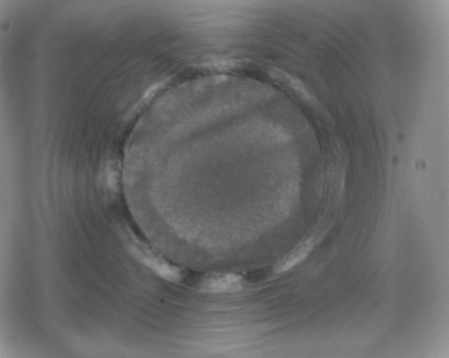 X0000080180576200612221319