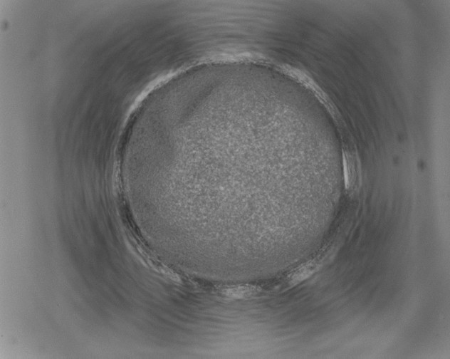 X0000080180579200612221318