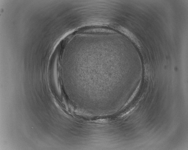 X0000080180580200612221318