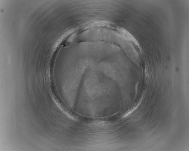 X0000080180581200612221318