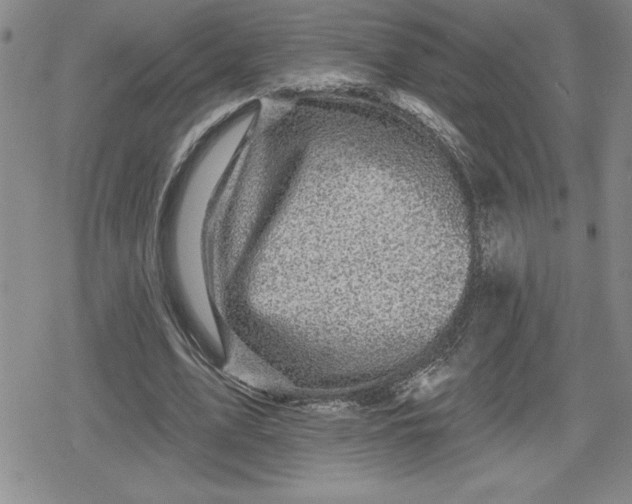 X0000080180583200612221318