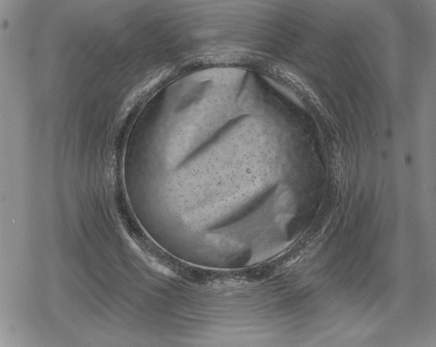 X0000080180586200612221318