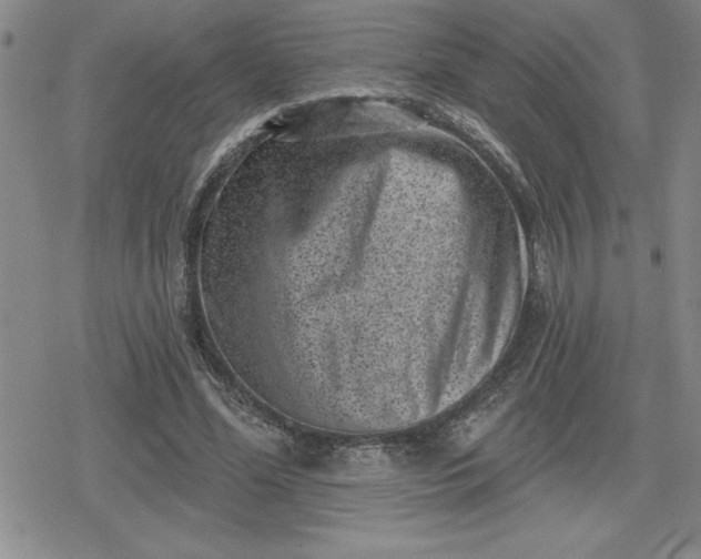 X0000080180588200612221318