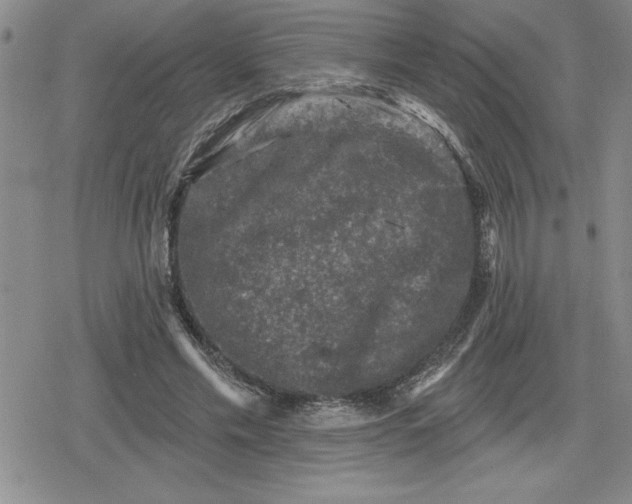 X0000080180589200612221318