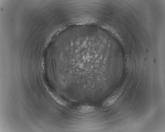 X0000080180590200612221318