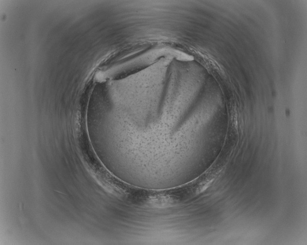 X0000080180591200612221318