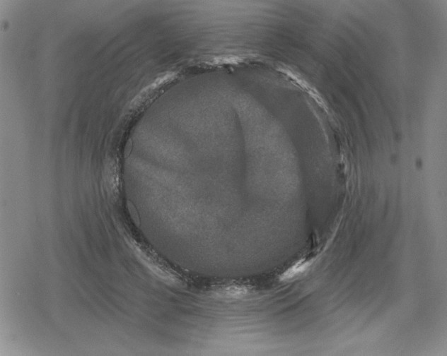 X0000080180593200612221318