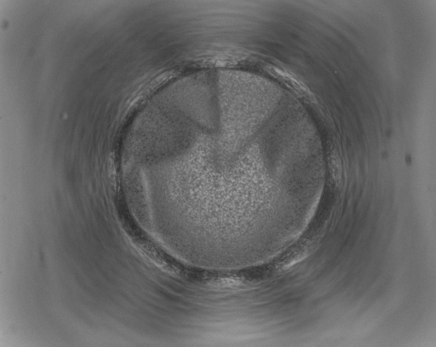 X0000080180594200612221318