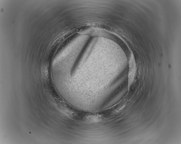 X0000080180595200612221318