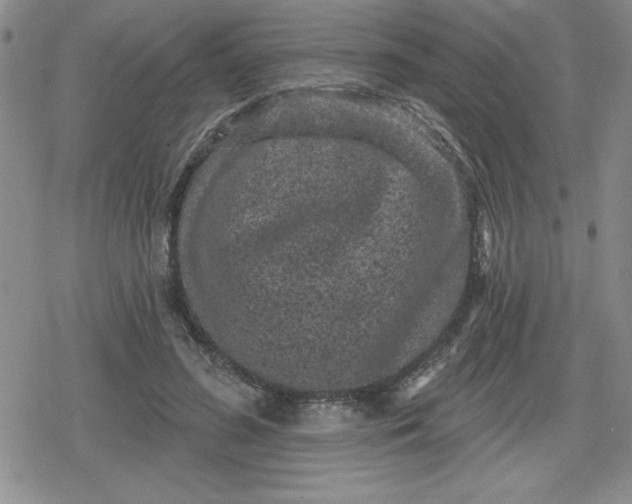 X0000080180596200612221318