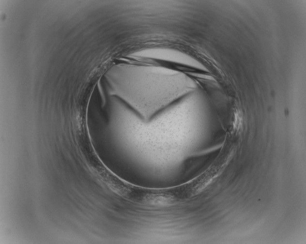 X0000080180597200612221318