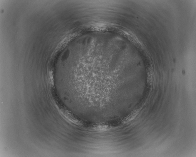 X0000080180598200612221318