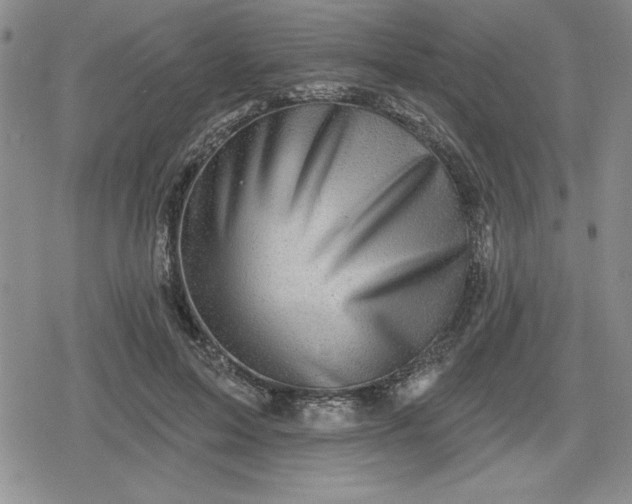 X0000080180599200612221318