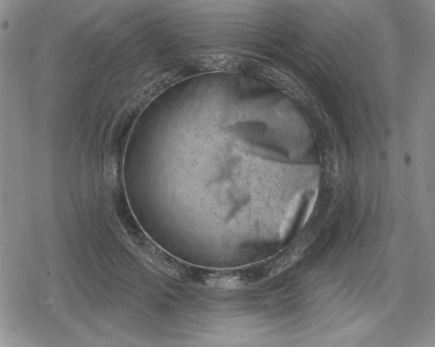 X0000080180602200612221318