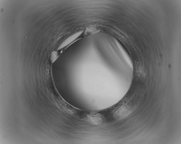 X0000080180603200612221317