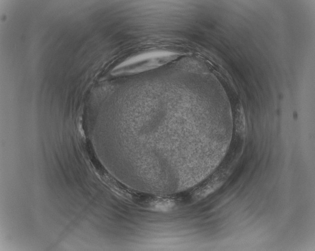 X0000080180604200612221317