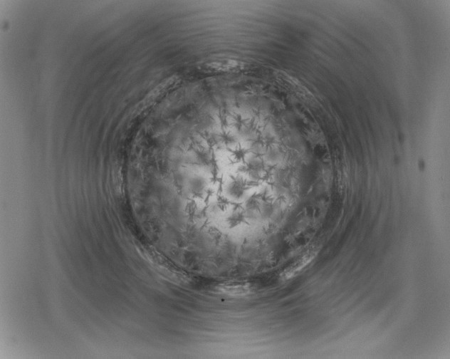 X0000080180606200612221317