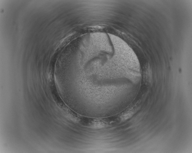 X0000080180608200612221317