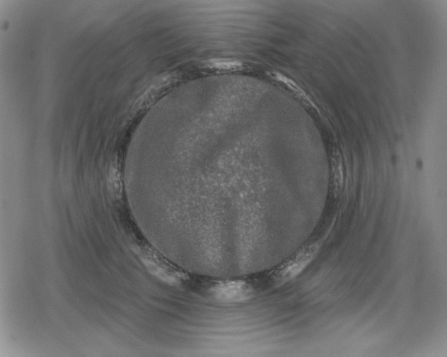 X0000080180609200612221317