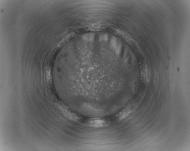 X0000080180610200612221317