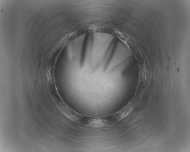 X0000080180611200612221317