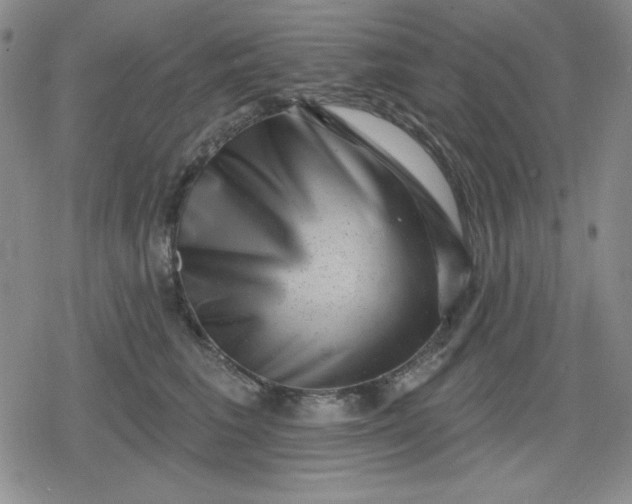 X0000080180613200612221317