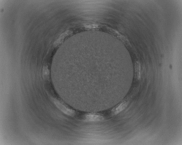 X0000080180614200612221317