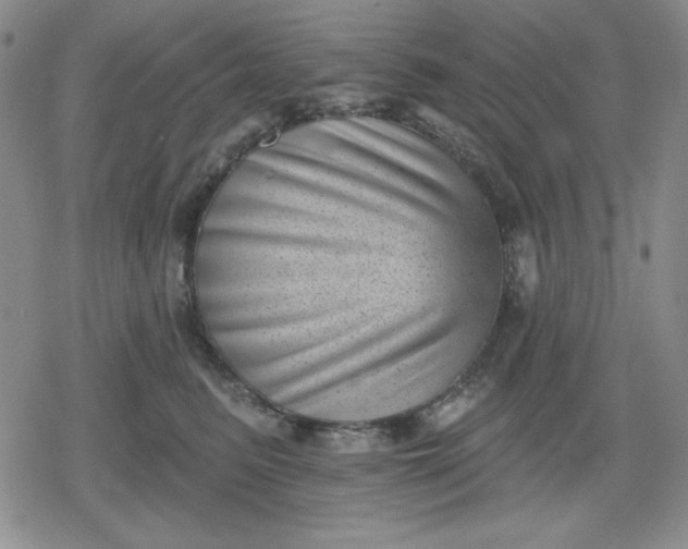 X0000080180615200612221317