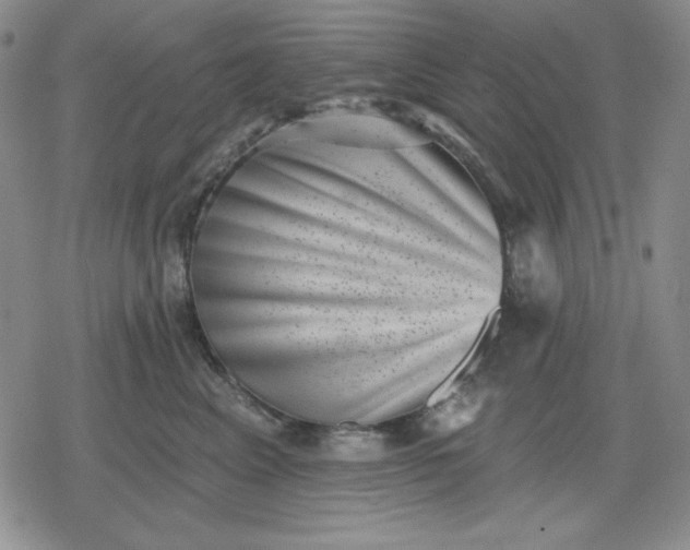 X0000080180617200612221317