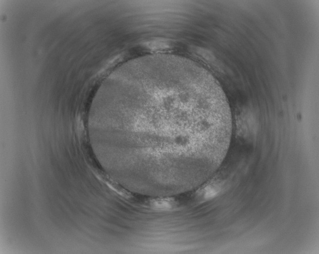 X0000080180618200612221317