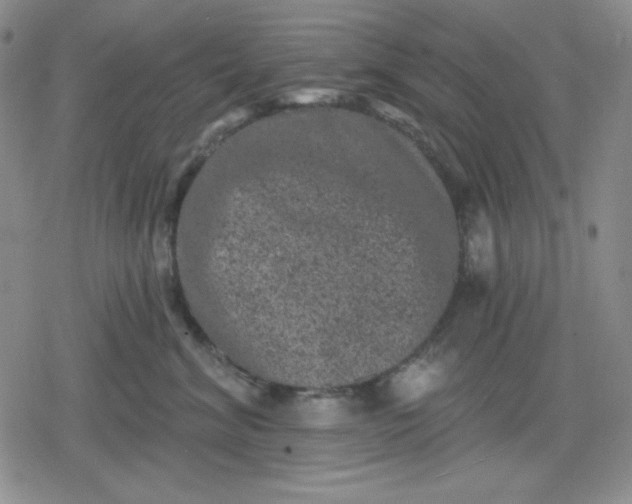 X0000080180620200612221317