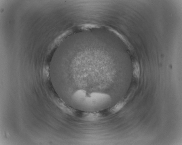 X0000080180621200612221317