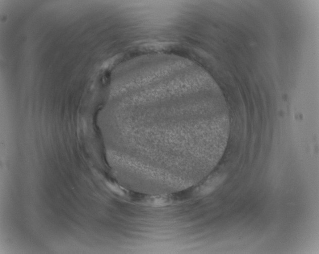 X0000080180624200612221317