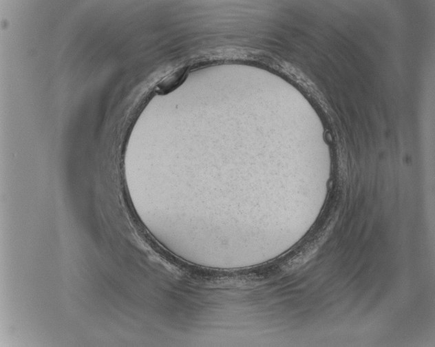 X0000080180625200612221316