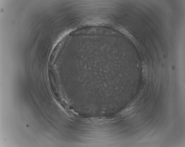 X0000080180626200612221316