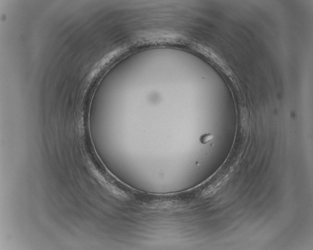 X0000080180629200612221316