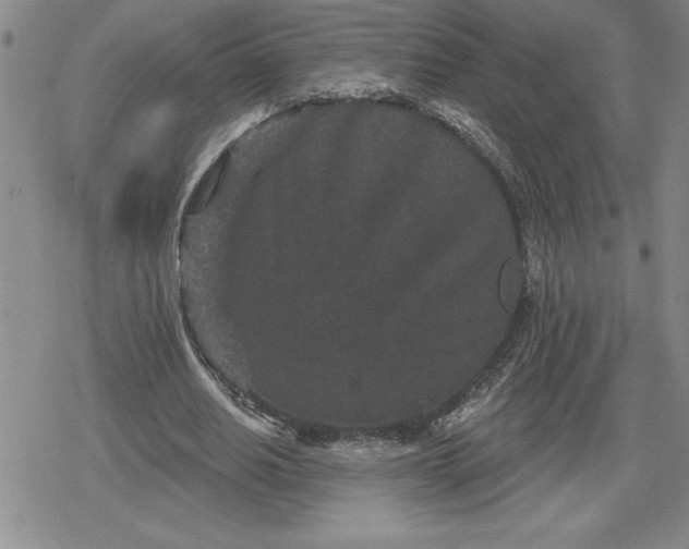 X0000080180630200612221316