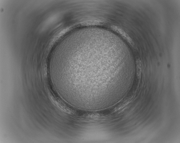 X0000080180631200612221316