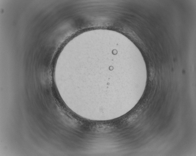 X0000080180632200612221316