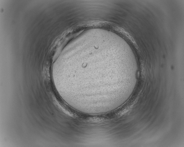 X0000080180633200612221316