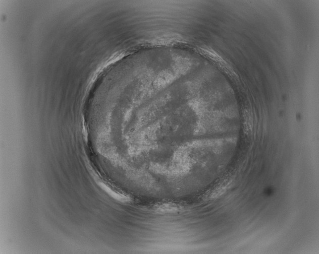 X0000080180634200612221317