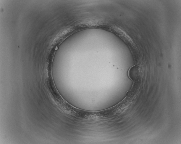 X0000080180635200612221317