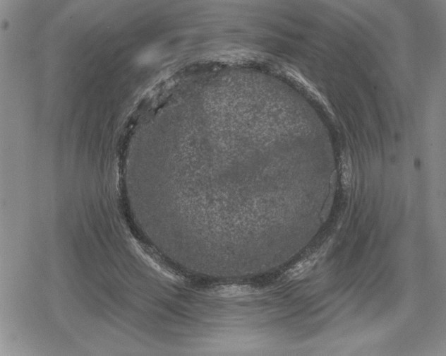 X0000080180637200612221317