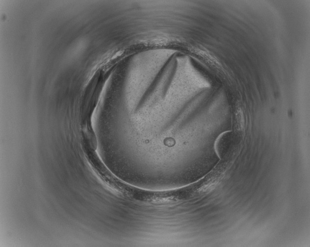 X0000080180638200612221317