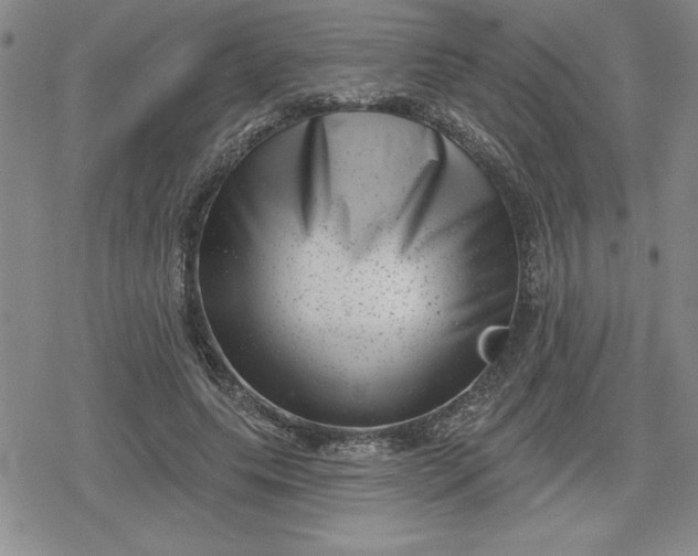 X0000080180639200612221317