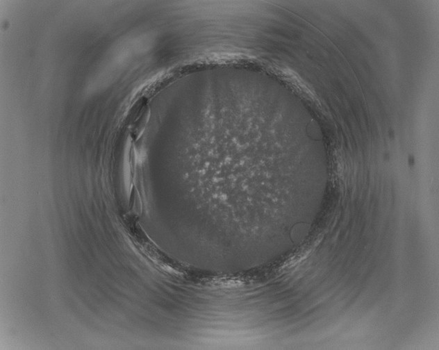 X0000080180640200612221317