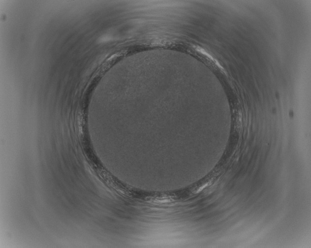 X0000080180643200612221317