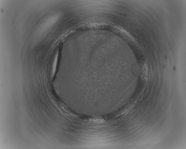 X0000080180644200612221317